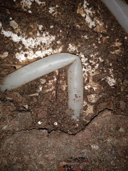 信宜堵点精准查找